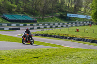 Lower Group Orange Bikes